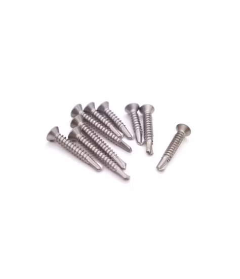 Дуплекс 2205 Крепеж Torx Самосверлящий винт с цилиндрической головкой Anti